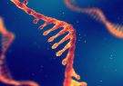 استفاده از نانوذرات لیپیدی برای تولید واکسن RNA استفاده از نانوذرات لیپیدی برای تولید واکسن RNA