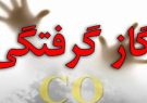 مرگ خاموش زوج رودباری به دلیل گاز گرفتگی مرگ خاموش زوج رودباری به دلیل گاز گرفتگی
