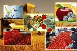راه‌ اندازی ۱۷ واحد صنایع تبدیلی و غذایی در گیلان