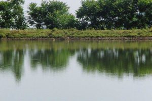 اختصاص ۷/۵ میلیارد تومان اعتبار برای لایروبی آب‌بندان های صومعه سرا