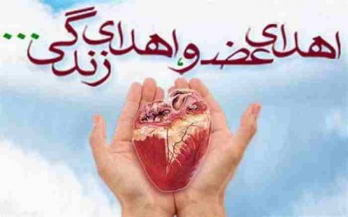اهدای عضو به ۷۲ بیمار در گیلان/ ۱۶۰ نفر در انتظار پیوند کبد و کلیه هستند