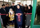 آغازبکار نمایشگاه توانمندیهای بانوان گیلانی در کانون پرورش فکری رشت آغازبکار نمایشگاه توانمندیهای بانوان گیلانی در کانون پرورش فکری رشت