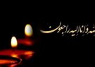 «رقیه رونقی» بهورز شبکه بهداشت صومعه سرا به شهدای خدمت گیلان پیوست «رقیه رونقی» بهورز شبکه بهداشت صومعه سرا به شهدای خدمت گیلان پیوست