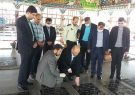اگر در مسیر شهدا حرکت کنیم قطعا راه درست گم نمی شود/شهدا نقطه عطف و درخشان نظام محسوب می شوند اگر در مسیر شهدا حرکت کنیم قطعا راه درست گم نمی شود/شهدا نقطه عطف و درخشان نظام محسوب می شوند