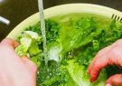 راهکارهای عدم ابتلا به بیماری فاسیولا/از آب کشی سبزیجات با سرکه تا هشدار در خصوص توت فرنگی و جگر دام
