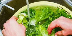 راهکارهای عدم ابتلا به بیماری فاسیولا/از آب کشی سبزیجات با سرکه تا هشدار در خصوص توت فرنگی و جگر دام
