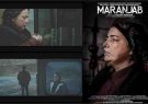 فیلمساز گیلانی برنده جایزه جشنواره بین‌المللی فیلم آمریکا شد
