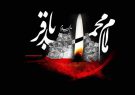 مفهوم واقعی «تقیه» در سیره مبارزاتی باقرالعلوم(ع)/دلیل عدم ورود امام محمدباقر(ع) به تقابل نظامی با خلفای اموی چه بود؟ مفهوم واقعی «تقیه» در سیره مبارزاتی باقرالعلوم(ع)/دلیل عدم ورود امام محمدباقر(ع) به تقابل نظامی با خلفای اموی چه بود؟