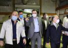 افزایش تولید در مجتمع دخانیات گیلان نسبت به سال گذشته/ افزایش خط تولید ظرف سه ماه آینده افزایش تولید در مجتمع دخانیات گیلان نسبت به سال گذشته/ افزایش خط تولید ظرف سه ماه آینده