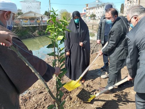 کاشت نهال توسط رییس اداره آموزش و پرورش شهرستان خمام در مراسم بزرگداشت درختکاری