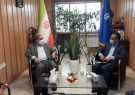 تجارت بادام زمینی باید جهانی شود/کارگروه های آرد و نان درشهرستان های گیلان فعال شود