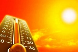 هوای گیلان گرم و مناسب برای برداشت شالی