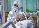 افزایش بیماریهای حاد تنفسی در گیلان و بستری ۵۶۷ نفر بیمار حاد تنفسی در استان! افزایش بیماریهای حاد تنفسی در گیلان و بستری ۵۶۷ نفر بیمار حاد تنفسی در استان!