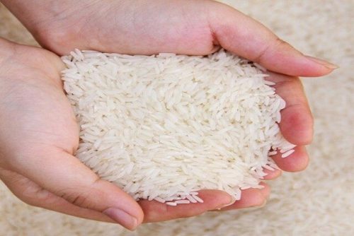 آخرین قیمت برنج سفید و شلتوک
