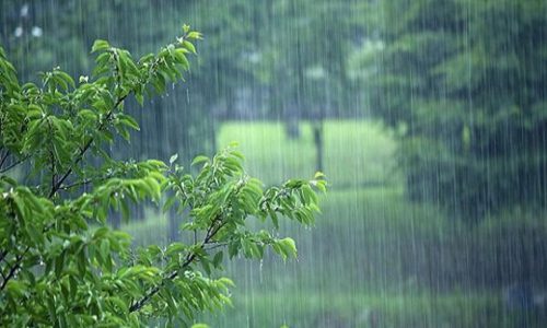 بارش باران و کاهش دما در گیلان / احتمال آبگرفتگی معابر در مناطق مختلف