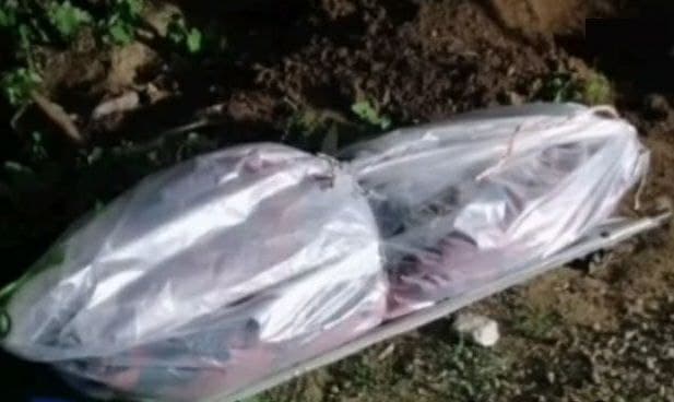 قتل همسر به دلیل اختلاف خانوادگی در لاهیجان /قاتل در زاهدان خود را تسلیم پلیس کرد!