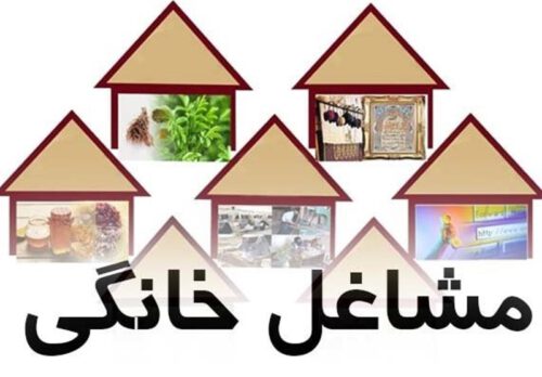 طرح ساماندهی مشاغل خانگی در گیلان اجرا می شود