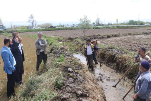 بازدید فرماندار رشت از شالیزارهای بخش خشکبیجار