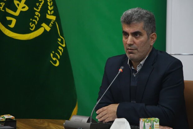 رونق اقتصاد زیتون در جنوب گیلان با جذب سرمایه گذاری محقق میشود رونق اقتصاد زیتون در جنوب گیلان با جذب سرمایه گذاری محقق میشود