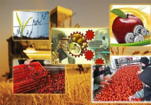 اشتغال ۲۲۵ نفر در گیلان با افتتاح صنایع تبدیلی