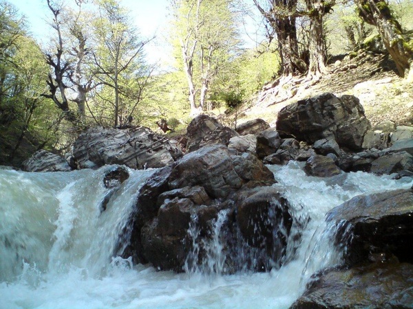 کشف جسد نوجوان پره سری در رودخانه شفارود کشف جسد نوجوان پره سری در رودخانه شفارود