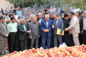 جشنواره‌ای به شکرانه برداشت محصول انار در رودبار