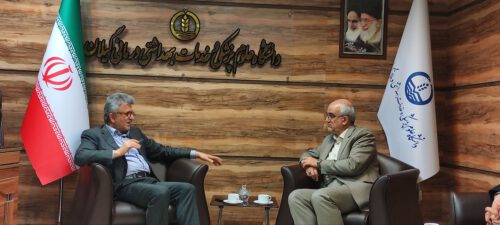 سطح درمان ناباروری در مراکز داخل گیلان بین ۲۳ تا ۳۳ درصد است