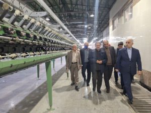 دستگاه قضایی و نظارتی اجازه تغییر کاربری صنایع پوشش را نمی دهد