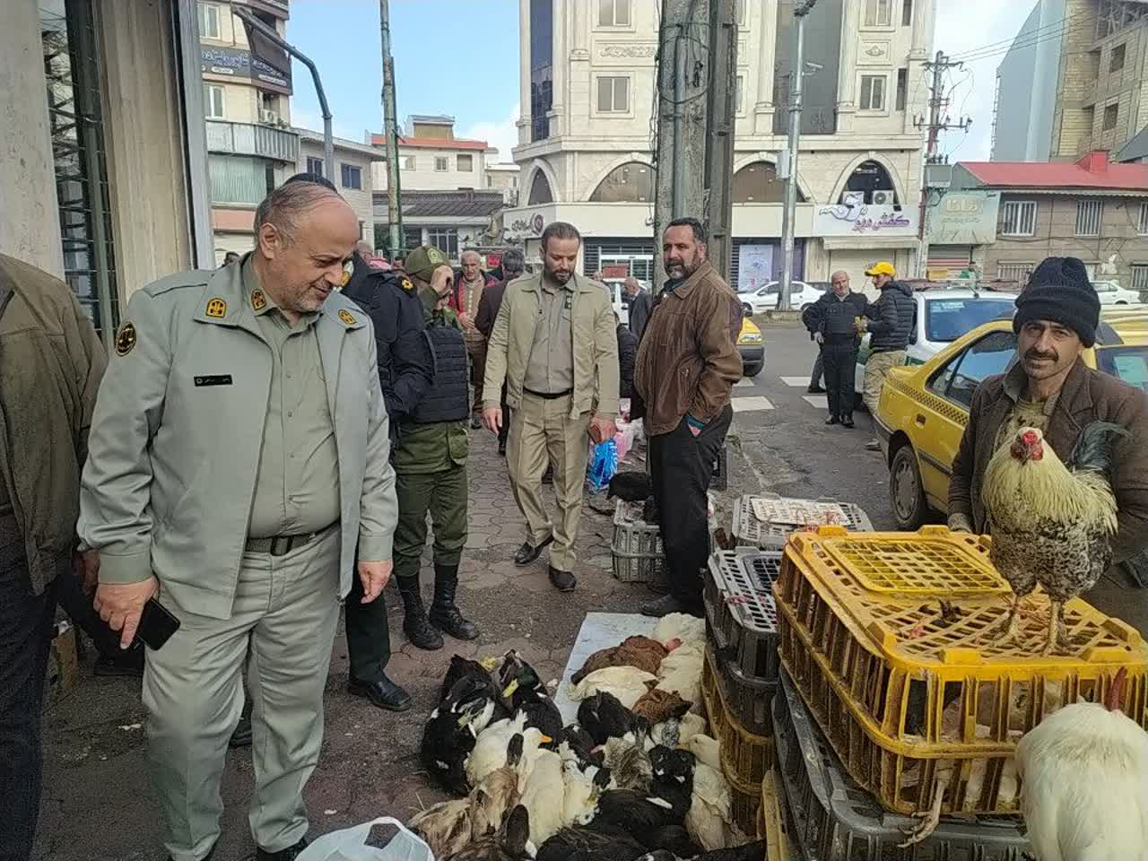 هشدار محیطزیست گیلان به فروشندگان پرندگان مهاجر و حیوانات هشدار محیطزیست گیلان به فروشندگان پرندگان مهاجر و حیوانات