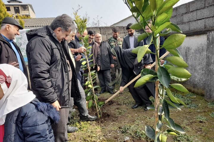 توزیع ۴۸ هزار اصله نهال همزمان با هفته منابع طبیعی در رودسر توزیع ۴۸ هزار اصله نهال همزمان با هفته منابع طبیعی در رودسر