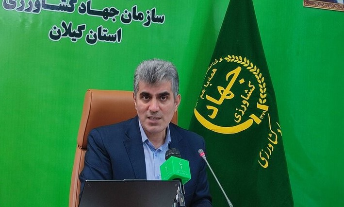 افزایش ۵ درصدی تولید برنج سفید در گیلان افزایش ۵ درصدی تولید برنج سفید در گیلان