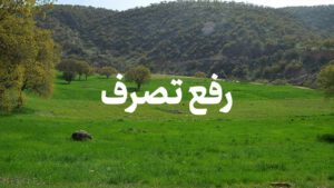 رفع تصرف بیش از ۲۳ هزار مترمربع از زمین‌های ملی در تالش