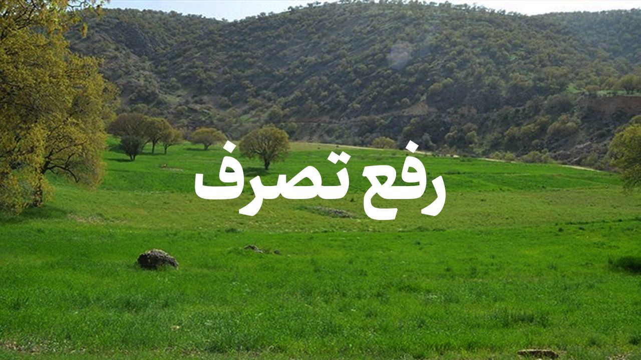 رفع تصرف اراضی ملی به ارزش ۶۳ میلیارد ریال در لاهیجان رفع تصرف اراضی ملی به ارزش ۶۳ میلیارد ریال در لاهیجان