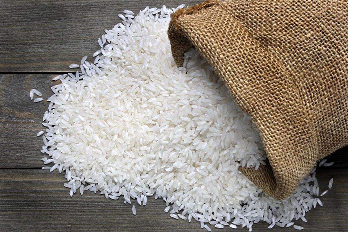 مجوز دولت برای واردات برنج در فصل برداشت خلاف قانون است/ نیکزاد: کمیسیون کشاورزی به موضوع افزایش قیمت برنج ورود کند مجوز دولت برای واردات برنج در فصل برداشت خلاف قانون است/ نیکزاد: کمیسیون کشاورزی به موضوع افزایش قیمت برنج ورود کند