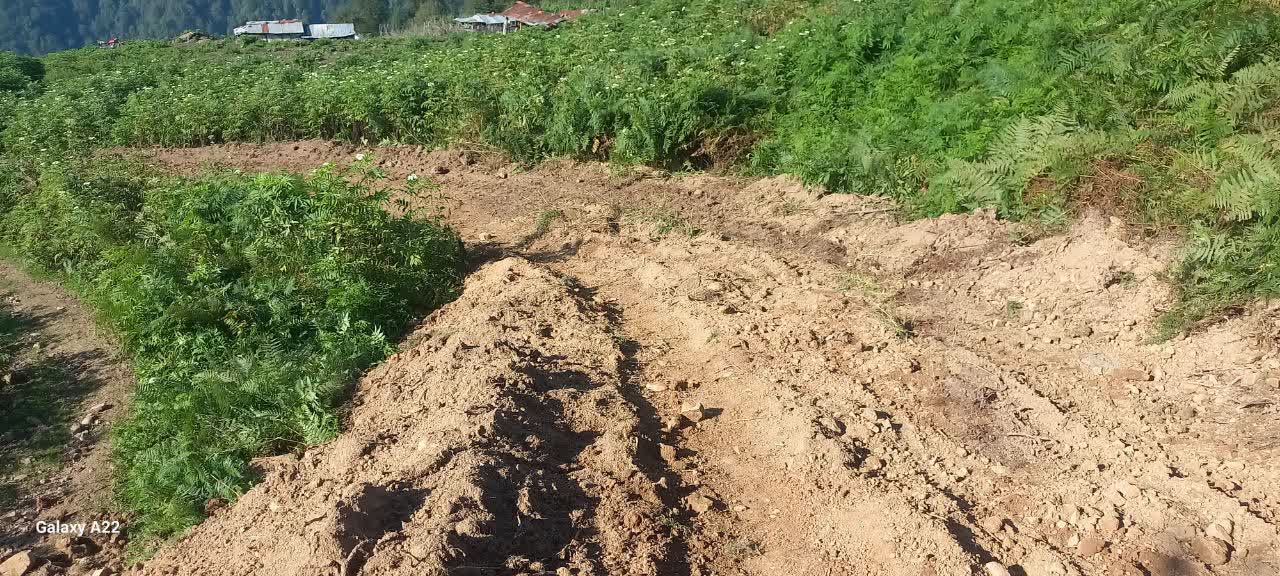 تشکیل پرونده قضایی برای عاملین تخریب محیط زیست در شهرستان شفت تشکیل پرونده قضایی برای عاملین تخریب محیط زیست در شهرستان شفت