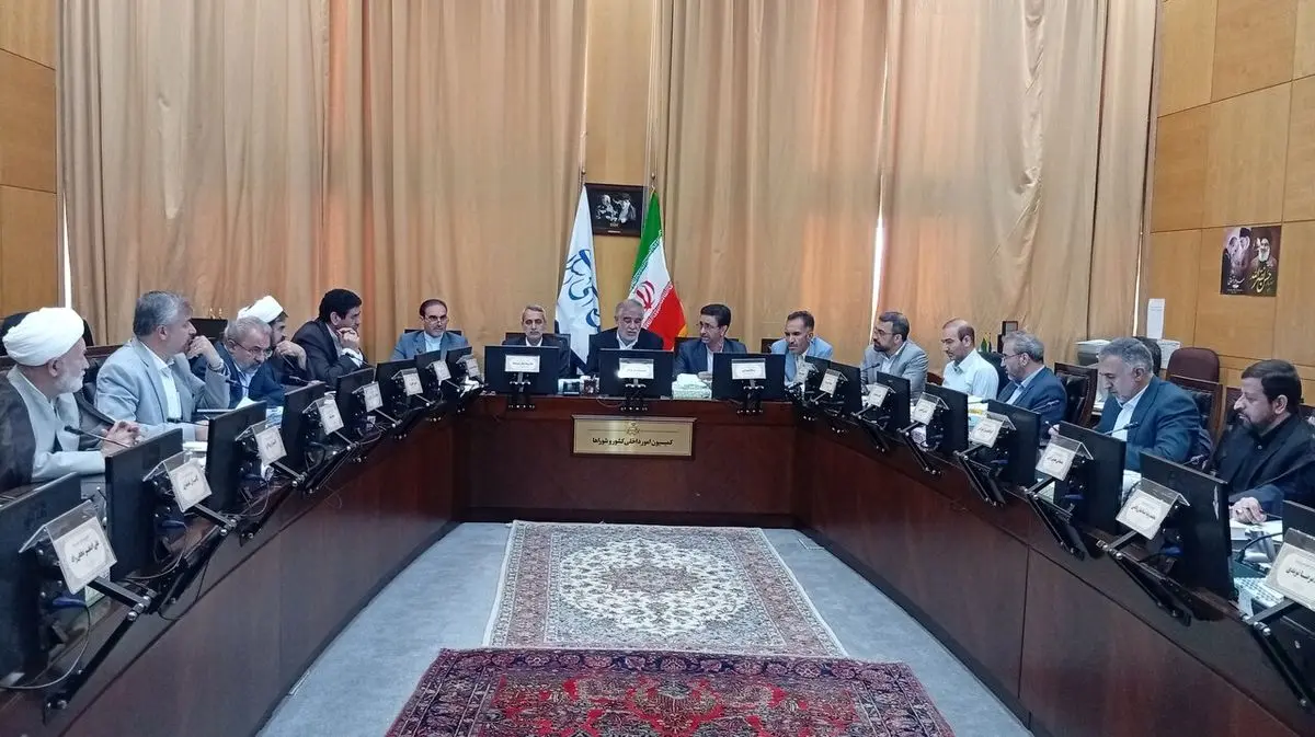 نشست کمیسیون مشترک بررسی لایحه سازمان ملی مهاجرت آغاز شد نشست کمیسیون مشترک بررسی لایحه سازمان ملی مهاجرت آغاز شد