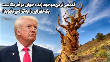 پخش فوتبال در سینما؛ راهکار موقت برای خروج از رکود گیشه