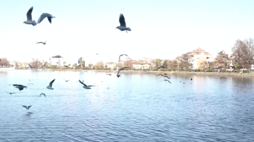 ورود سامانه جنوبی و افزایش دما در گیلان