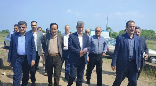 پایان تجهیز و نوسازی ۱۹۱ هکتار از شالیزار‌های آستانه اشرفیه