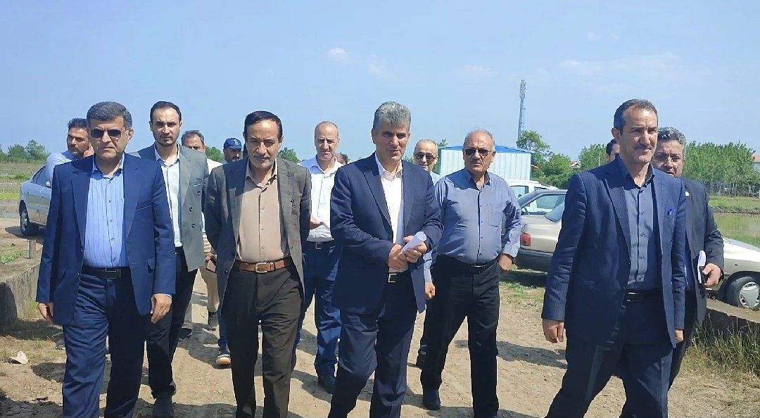 پایان تجهیز و نوسازی ۱۹۱ هکتار از شالیزارهای آستانه اشرفیه پایان تجهیز و نوسازی ۱۹۱ هکتار از شالیزارهای آستانه اشرفیه
