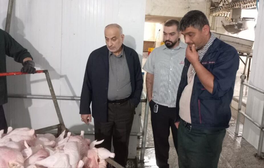برخورد با گرانفروشی مرغ در سیاهکل و صومعه سرا برخورد با گرانفروشی مرغ در سیاهکل و صومعه سرا