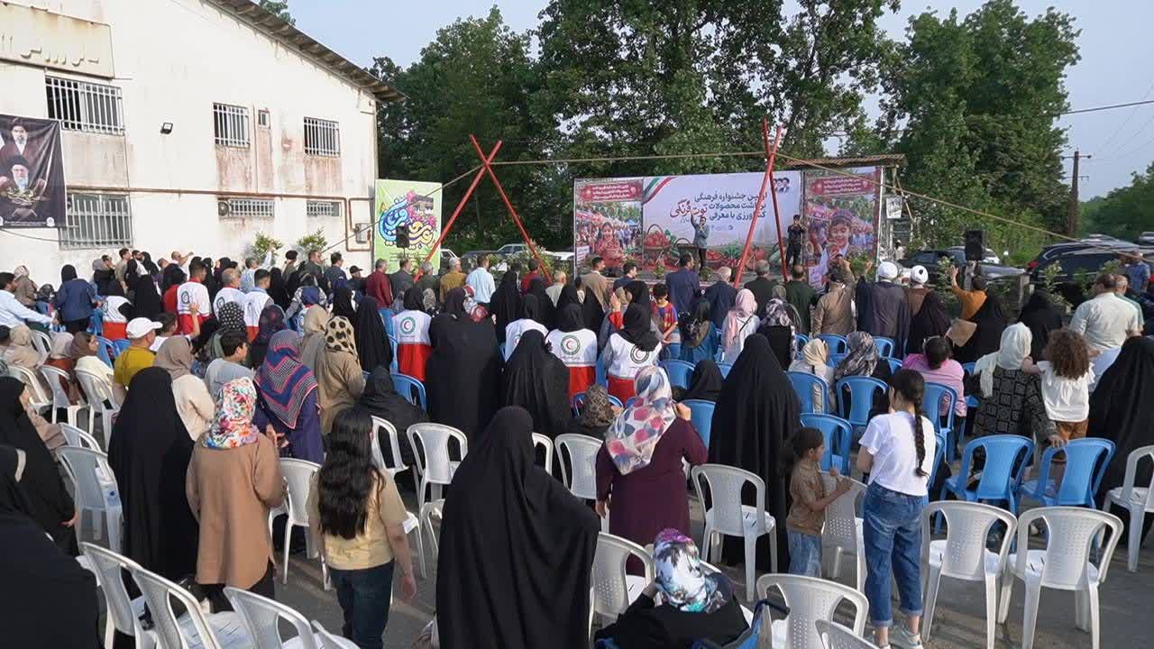 گزارش تصویری اولین جشنواره فرهنگی برداشت محصولات کشاورزی با معرفی توت فرنگی پیربازار