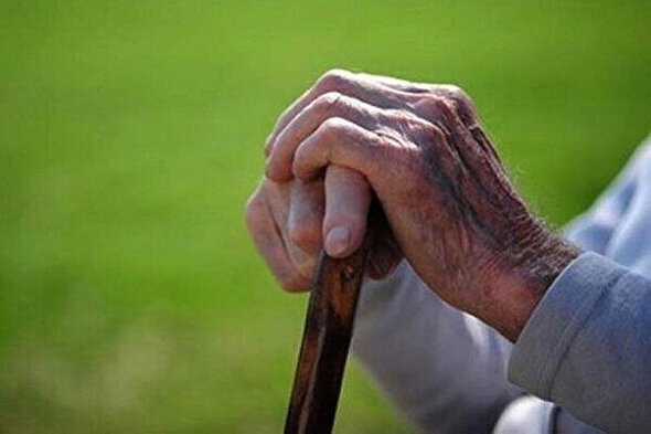 آنچه موجودات دریایی درباره سرعت پیر شدن افراد فاش می‌کنند