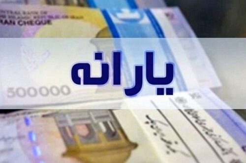 یارانه جدید در راه است/ کدام خانوارها مشمول سبد غذایی رایگان می‌شوند؟