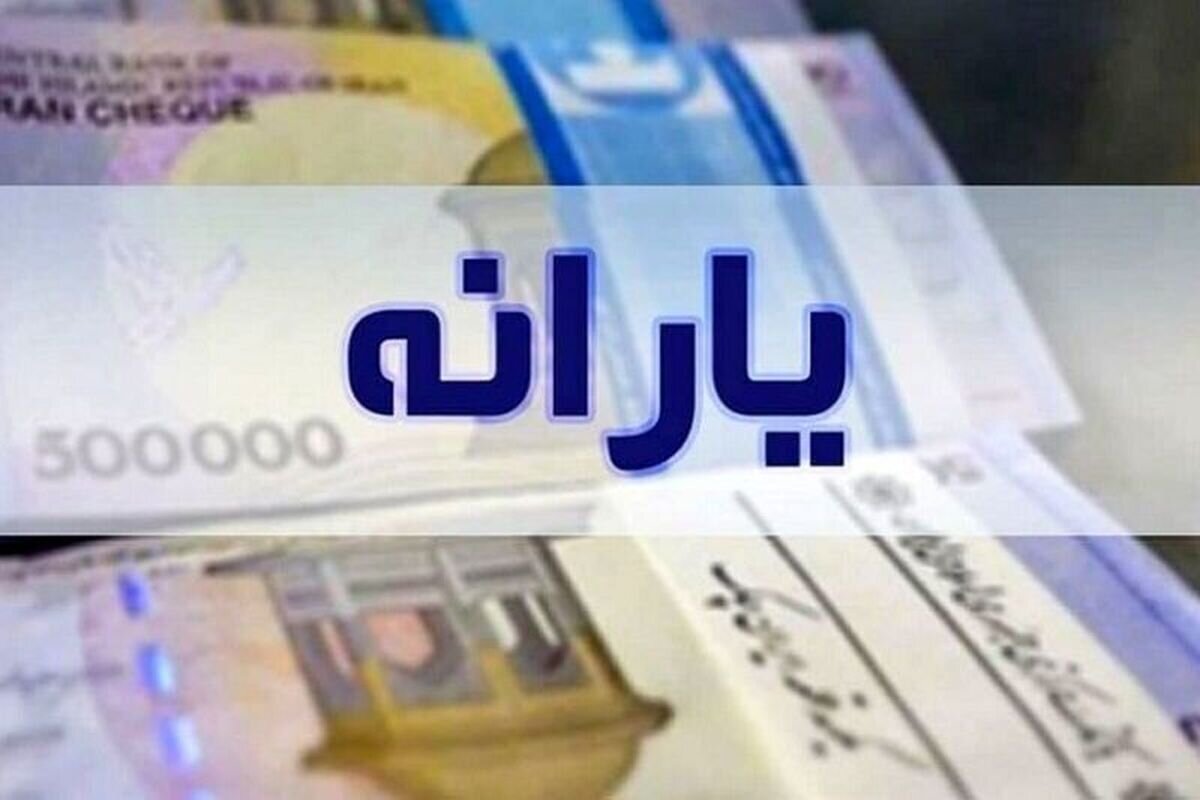یارانه جدید در راه است/ کدام خانوارها مشمول سبد غذایی رایگان می‌شوند؟