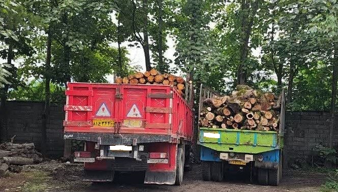 کشف بیش از ۱۵ تن چوب قاچاق در شهرستان لنگرود