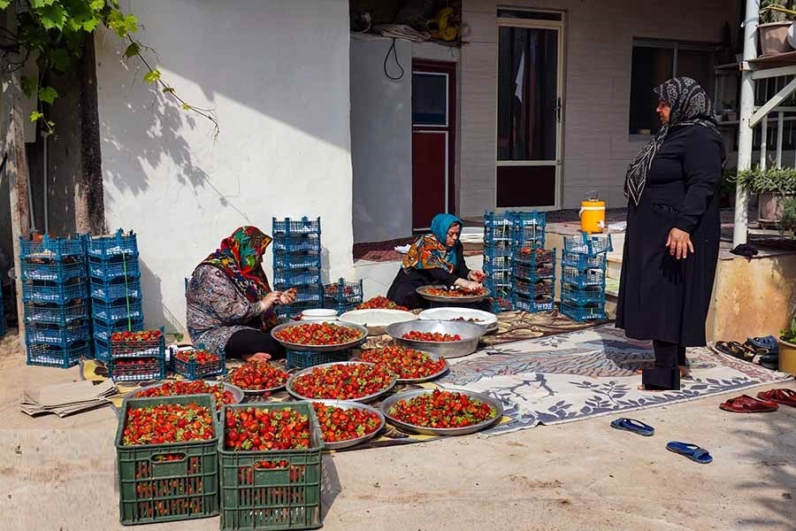 اشتغال بیش از ۳ هزار بانوی گیلانی در تعاونی‌های استان