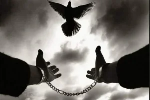 🕊️بخشش بزرگ مرد طلبکار برای آزادی خیاط زندانی