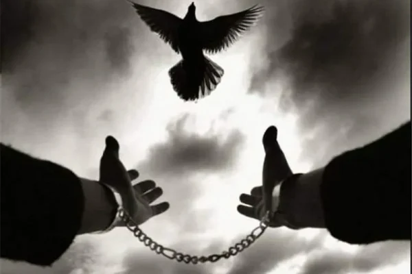 🕊️بخشش بزرگ مرد طلبکار برای آزادی خیاط زندانی