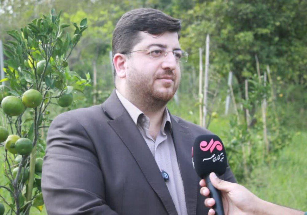 موقوفات لاهیجان در مسیر درآمدزایی پایدار؛ باغ مرکبات به بار نشست